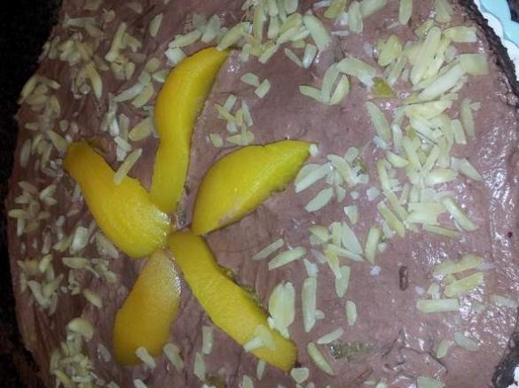 schnelle Pfirsich Schoko Torte