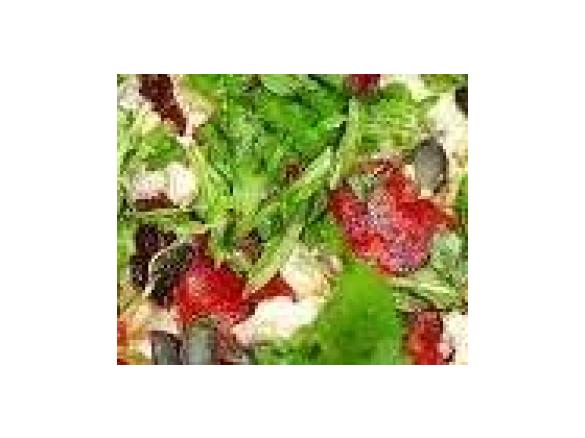 Flammkuchen mit Pesto und Rucola