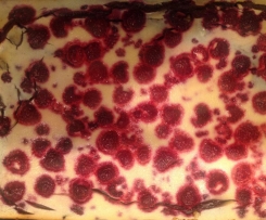 Double Chocolate Brownies mit Himbeer-Frischkäse Guss 