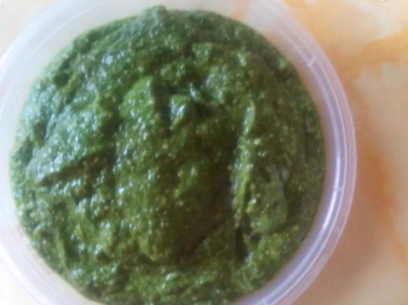 Rucola-Pesto