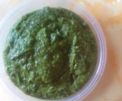 Rucola-Pesto