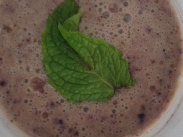 Blaubeer - Minze- Joghurt
