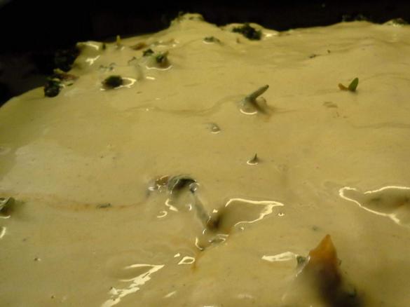 Grünkohl-Kartoffel-“Pizza“ vegan