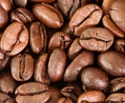 Kaffeebohnen mahlen für die French Press