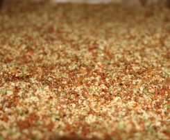 Trockenes Tomatenpesto