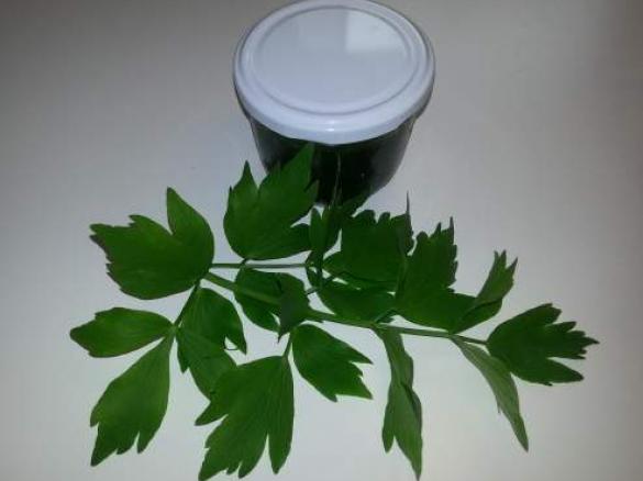 Liebstöckel / Maggikraut Grundstock Paste