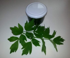 Liebstöckel / Maggikraut Grundstock Paste