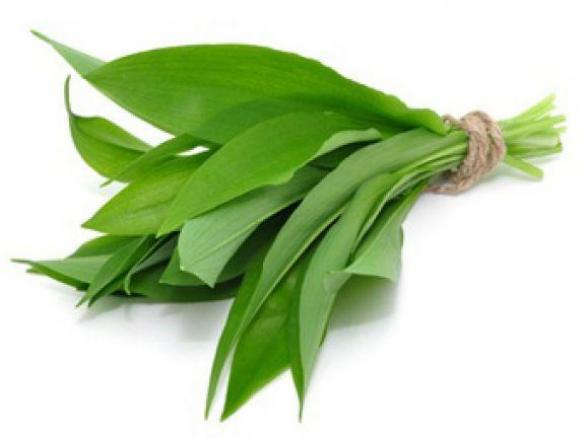 Gemüse-Bärlauch-Suppe