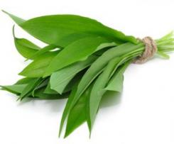 Gemüse-Bärlauch-Suppe