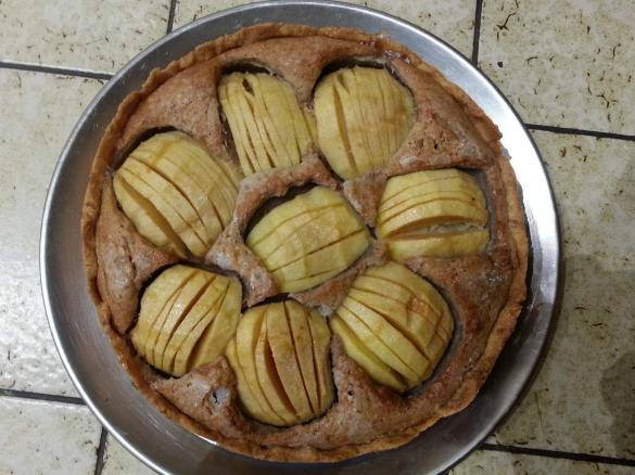 Apfel-Walnuss-Kuchen
