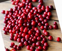 Cranberry Dip - super lecker !!!