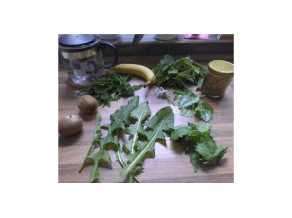 Wald und Wiesen Smoothie