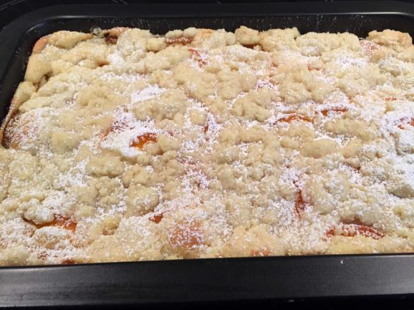 Aprikosenkuchen mit Quark und Streuseln