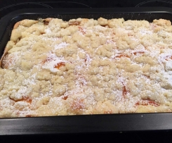 Aprikosenkuchen mit Quark und Streuseln