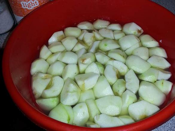 Apfelmus mit Xucker light