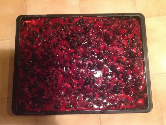 Sommerlicher Beerenkuchen fructosearm