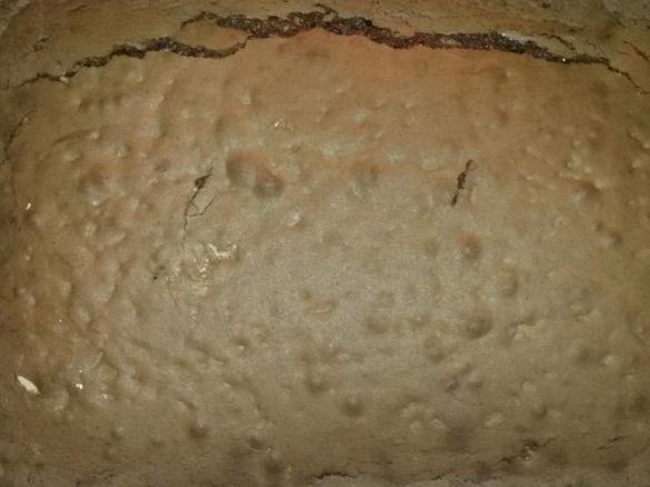 Brownies Schokokuchen 