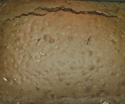 Brownies Schokokuchen 