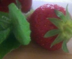 Erdbeermarmelade mit Apfelminze