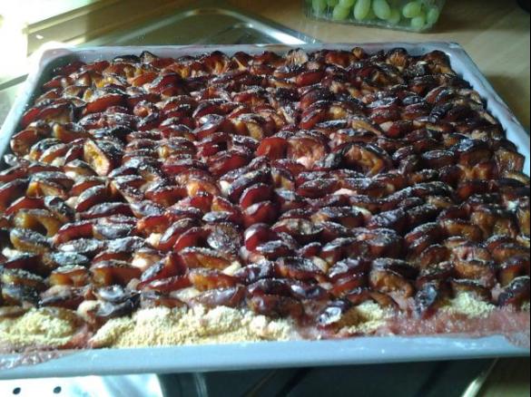 Zwetschgendatschi - Mürbteigboden