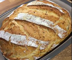 Ofenmeister-Brot ... gelingsicher und supersaftig