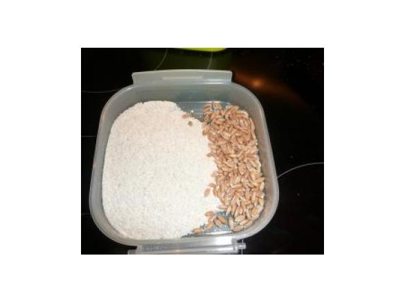 Dinkelbackmalz (selbst herstellen)