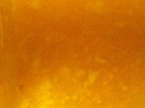 bittere Orangenmarmelade mit Mango