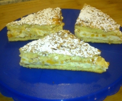 himmlische Aprikosenschnitten