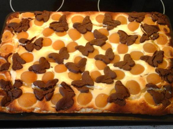 Zupfkuchen mit frischen Aprikosen