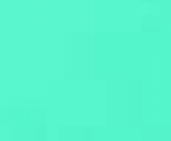 Brotaufstrich aus Reis/Mais Waffeln mit Meersalz