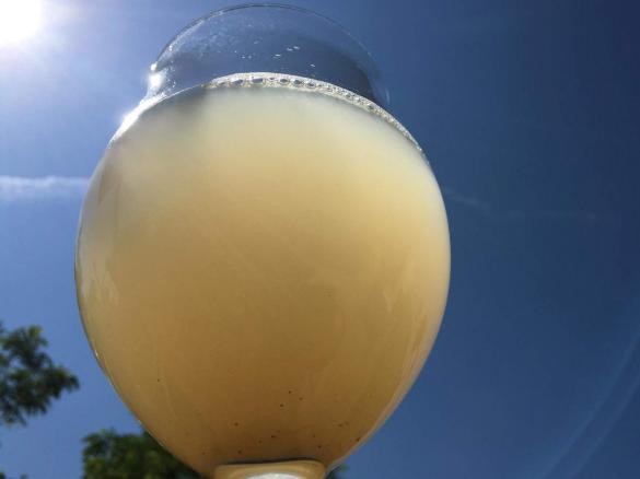 Rhabarbersaft- Schorle