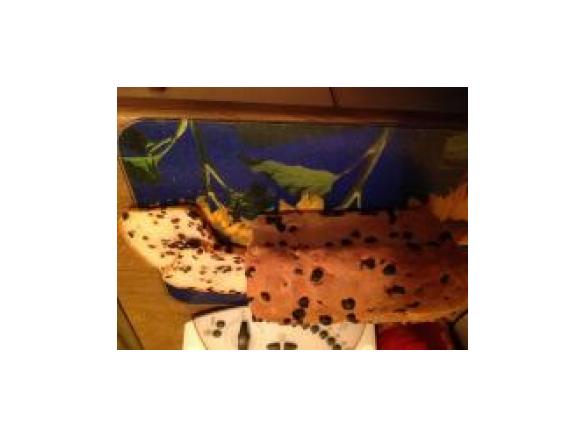 Superleckeres Rosinenbrot 