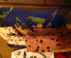 Superleckeres Rosinenbrot 