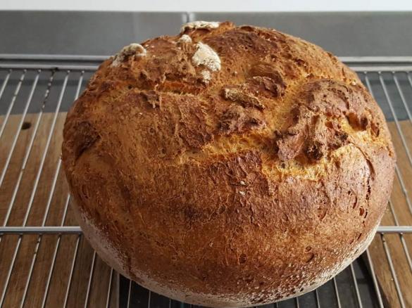 Joghurtkrüstchen mit Kürbiskernen