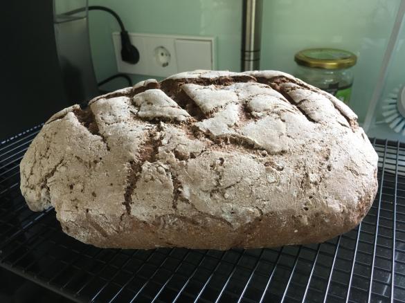 Dunkles glutenfreies Brot