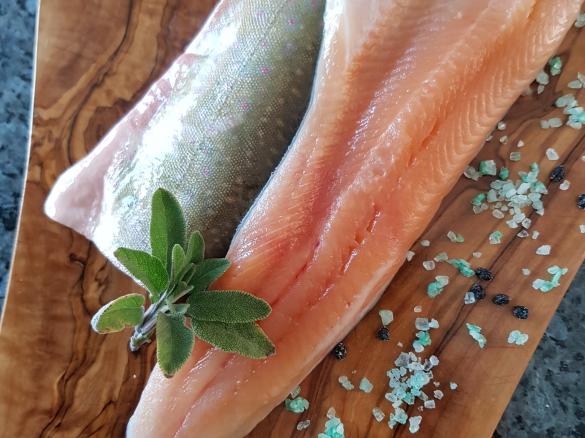 Gerrys Saibling aus dem Starnberger See