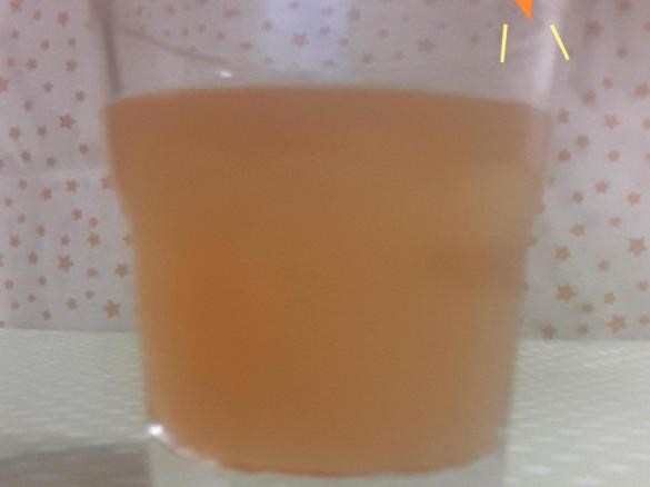 Bratapfellikör alla Ulli