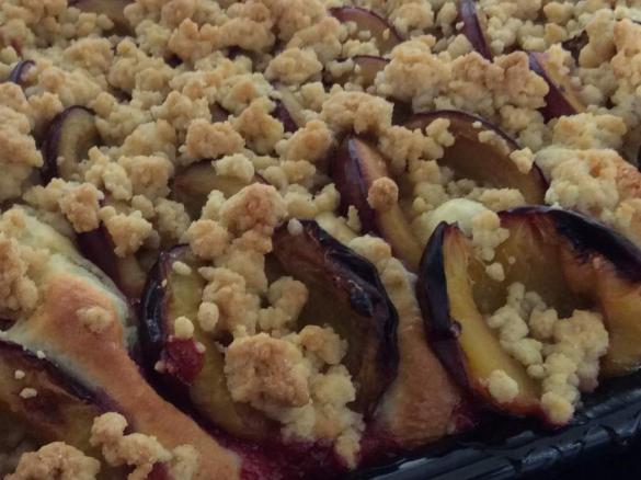 Zwetschcken - Quarkölteigkuchen 