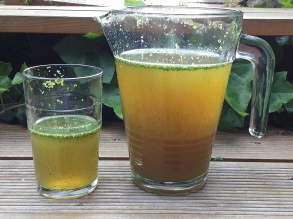 Israelische Minz-Limonade