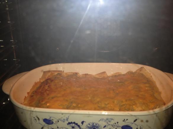 Hühner Enchiladas mit grüner Chili Sauce