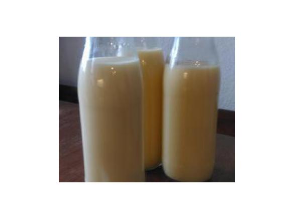 Eierlikör (weniger süß / weniger Sahne)