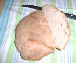 Dinkel-Roggenbrot für Weizenallergiker