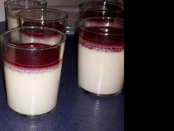 Panna cotta mit Himbeersoße
