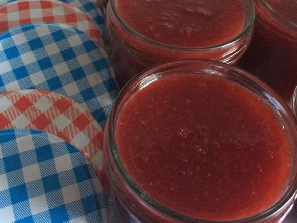 Erdbeermarmelade mit Stevia