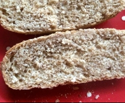 Dinkel-Buchweizen-Brötchen