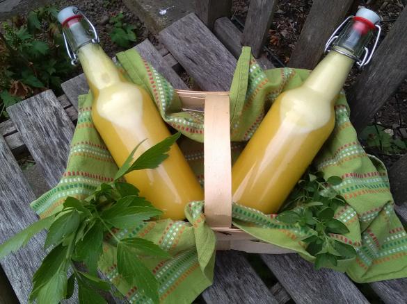 Salatdressing vegan& light, auf Vorrat