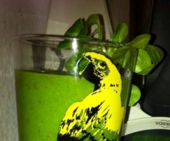 Thermosternchens giftgrüner Feldsalat Smoothie 