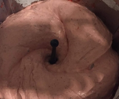 Erdbeeren Traum mit Schokosplittern