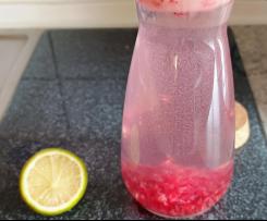 Low Carb Himbeer-Limetten-Limo (zuckerfrei)