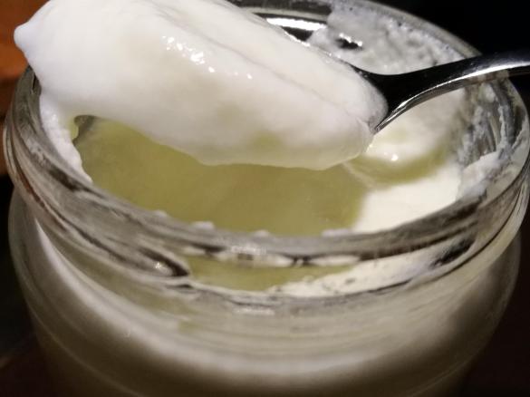 Joghurt selbstgemacht - natur